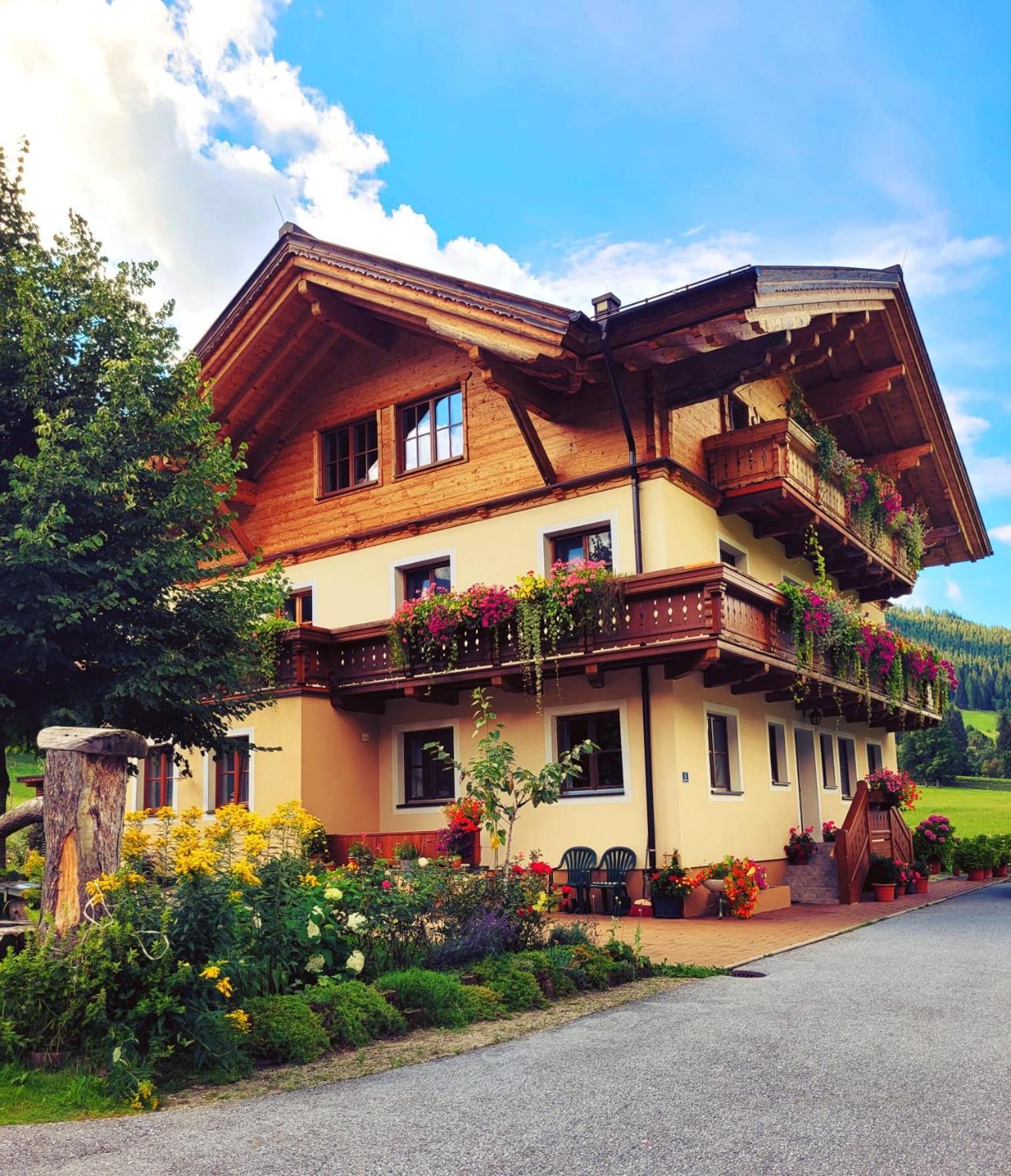 Arche Hof Oebristhof Daire Kleinarl Dış mekan fotoğraf