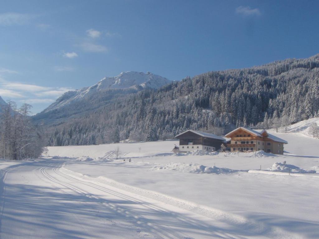 Arche Hof Oebristhof Daire Kleinarl Dış mekan fotoğraf