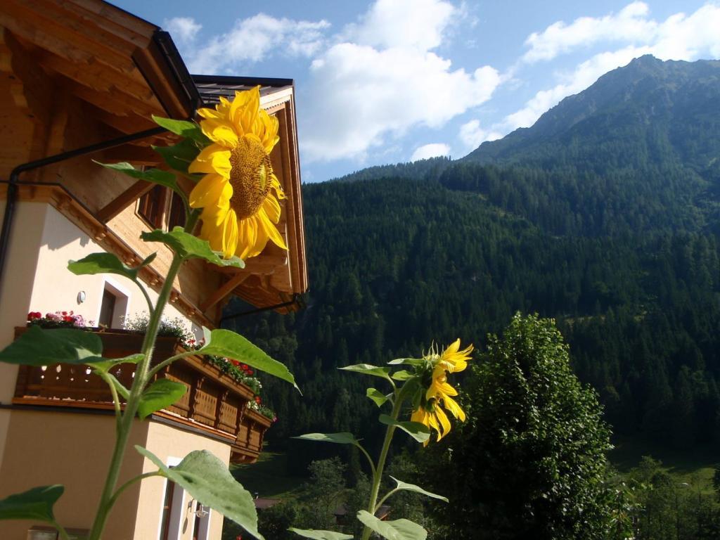 Arche Hof Oebristhof Daire Kleinarl Dış mekan fotoğraf